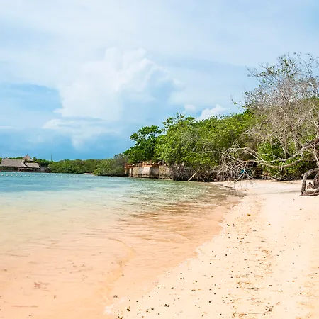 Islas 5* Baru