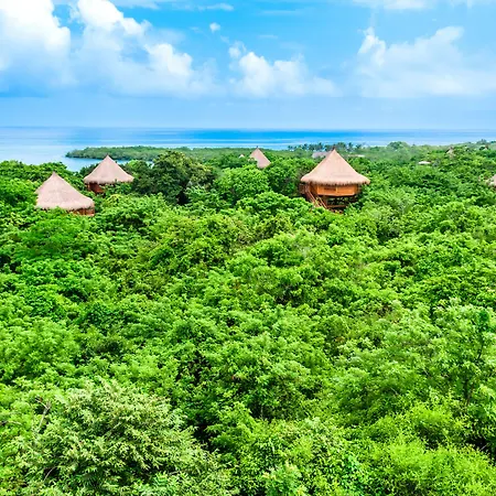 Islas 5*